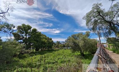 TERRENO EN RENTA Y/O VENTA BLVD ALFONSO LOPEZ PATIÑO
