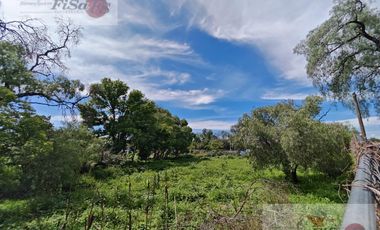 TERRENO EN RENTA Y/O VENTA BLVD ALFONSO LOPEZ PATIÑO