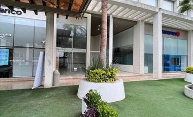 Local - Vista Hermosa