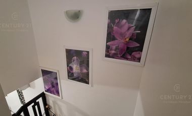 Hermosa Casa en Renta  Real del Sol amueblada Playa Del Carmen P4521