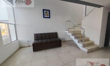 CASA EN RENTA AGAVE CRISTAL 6