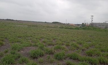 TERRENO INDUSTRIAL EN RENTA EN SALINAS VICTORIA