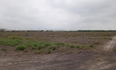 TERRENO INDUSTRIAL EN RENTA EN SALINAS VICTORIA