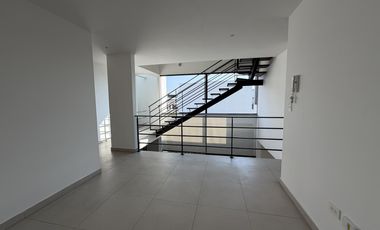 Casa en renta en Parque Chihuahua