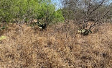 VENTA O RENTA DE TERRENO INDUSTRIAL – SALINAS VICTORIA, NL