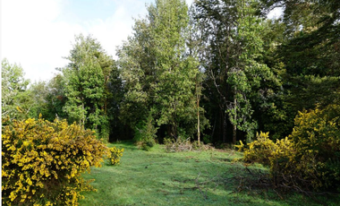 EN CONDOMINIO JARDINES DE DALCAHUE 16 KMS AEROPUERTO