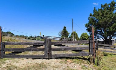 Parcela en venta  en LOS MUERMOS