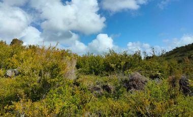 Parcela en venta  en LOS MUERMOS