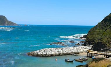 Parcela en venta  en LOS MUERMOS