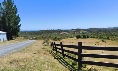 Parcela en venta  en LOS MUERMOS