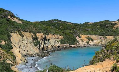 Parcela en venta  en LOS MUERMOS