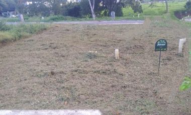 Terreno en Venta Ubicado en SOPETRAN Codigo 2881