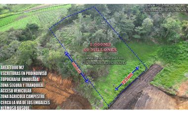 PRECIO DE REMATE! Lote de 1000 m² en Marinilla - Sector Chochomayo