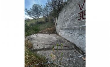 lote reposo alto