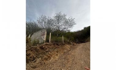 lote reposo alto