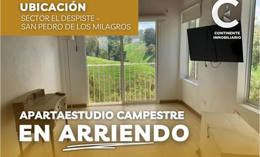 Apartaestudio en alquiler, vereda Cuartas - Sector El Despiste