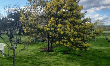 VENTA DE HERMOSA PARCELA EN TALCA, MAULE