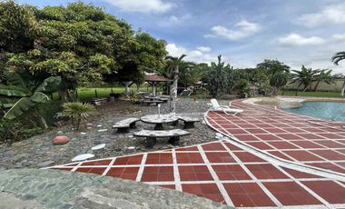 FINCA EN ARRIENDO EN CONGOLO/PEREIRA