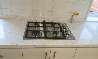 Casa en Arriendo en Pasaje doce 683
