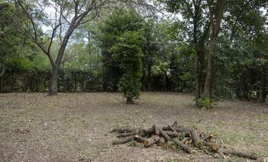 Casa en Laguna de Lobos con lote arbolado