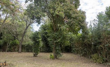 Casa en Laguna de Lobos con lote arbolado