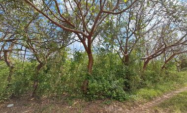 Terreno en venta en Veracruz en Jamapa a 1 km de carretera principal