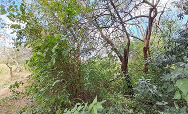 Terreno en venta en Veracruz en Jamapa a 1 km de carretera principal