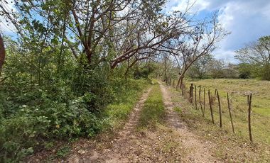 Terreno en venta en Veracruz en Jamapa a 1 km de carretera principal