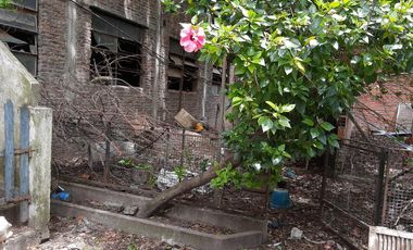 8,66x68 LOTE c/casa a refaccionar