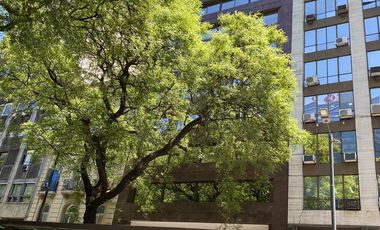 Excelente Piso de Oficinas - 280 m2 - 2 cocheras- Catalinas