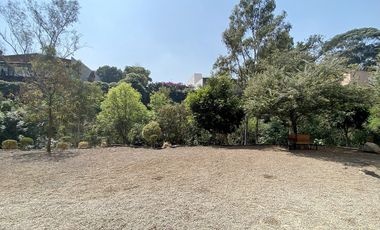 DEPARTAMENTO EN RENTA EN OLIVAR DE LOS PADRES