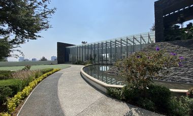 DEPARTAMENTO EN RENTA EN OLIVAR DE LOS PADRES