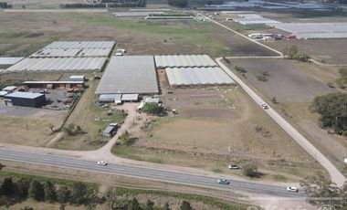 Chacra Hortícola en Venta - La Plata 3.6  has