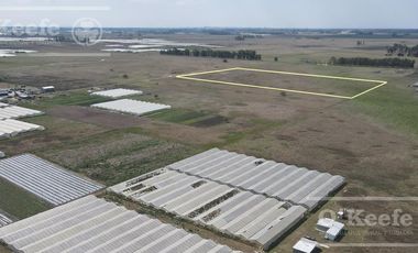Chacra Hortícola en Venta - La Plata 3.6  has