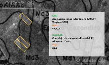 Chacra Hortícola en Venta - La Plata 3.6  has