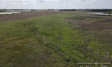 Chacra Hortícola en Venta - La Plata 3.6  has