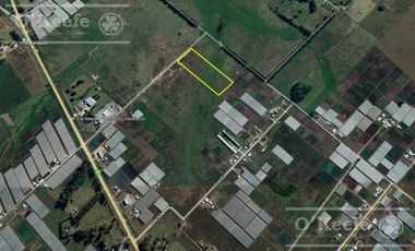 Chacra Hortícola en Venta - La Plata 3.6  has