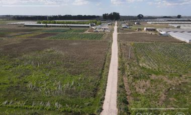 Chacra Hortícola en Venta - La Plata 3.6  has