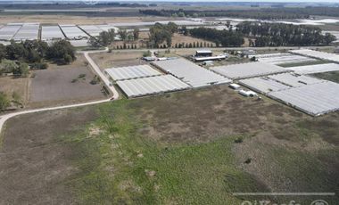 Chacra Hortícola en Venta - La Plata 3.6  has