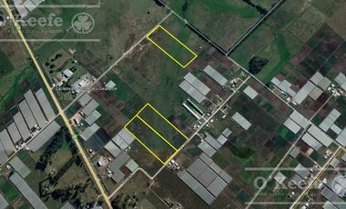 Chacra Hortícola en Venta - La Plata 3.6  has