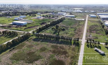 LOTE EN VENTA 5000 M2 PARQUE INDUSTRIAL PITEC 2 - ETAPA 1