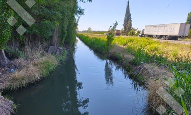 Venta de Chacra con frente de Ruta 22, Allen