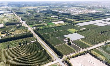 Venta de Chacra con frente de Ruta 22, Allen
