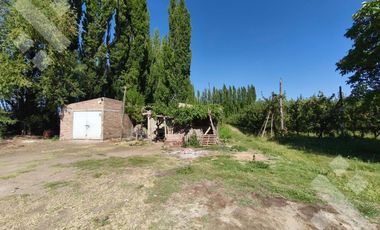 Venta de Chacra con frente de Ruta 22, Allen
