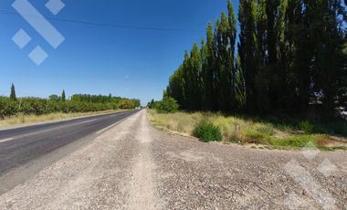 Venta de Chacra con frente de Ruta 22, Allen