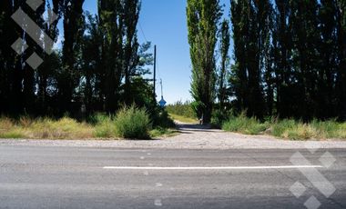 Venta de Chacra con frente de Ruta 22, Allen