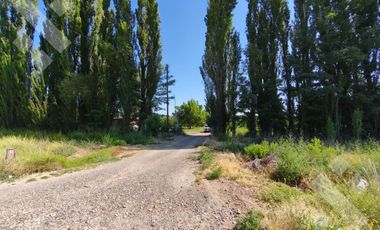 Venta de Chacra con frente de Ruta 22, Allen