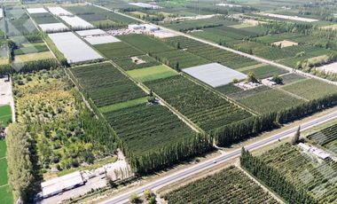 Venta de Chacra con frente de Ruta 22, Allen