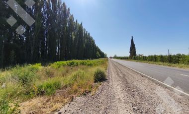 Venta de Chacra con frente de Ruta 22, Allen