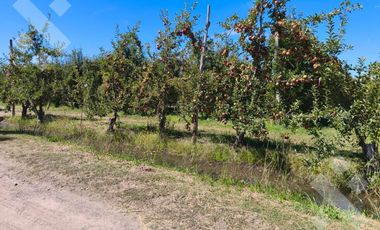 Venta de Chacra con frente de Ruta 22, Allen